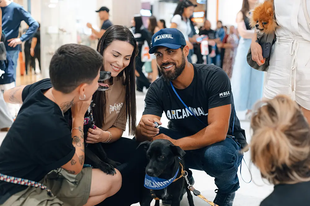 Curitiba recebe evento de adoção de animais no Shopping Palladium 5 adoção de animais