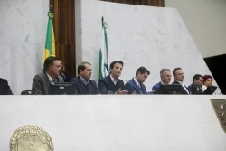 pimentel