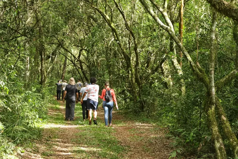 Caminhos do Peabiru