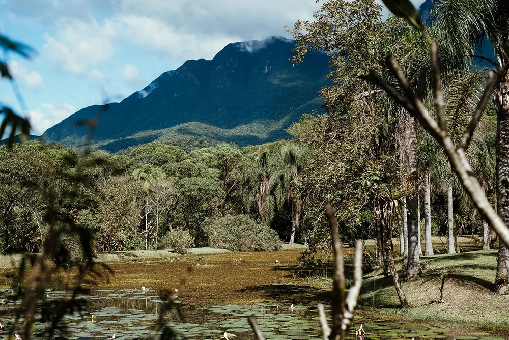 Morretes vira referência em eventos e experiências imersivas na natureza 4 Santuario Nhundiaquara_Foto