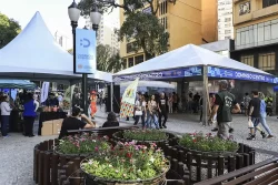domingo no centro