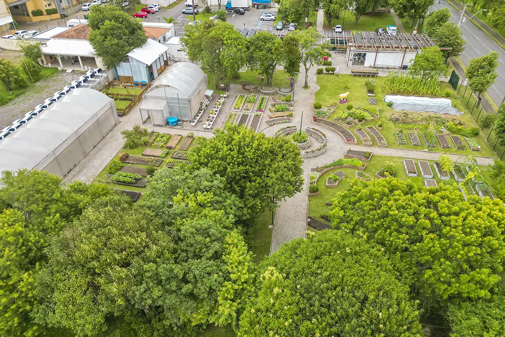Fazenda Urbana do Cajuru celebra 5 anos com produção de 4 toneladas de hortaliças e quase 3 mil pessoas capacitadas 2 fazenda urbana