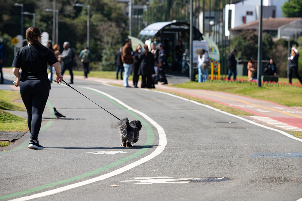 Fim de semana de montanha-russa nas temperaturas no Paraná, de acordo com Simepar 3 Calor no inverno