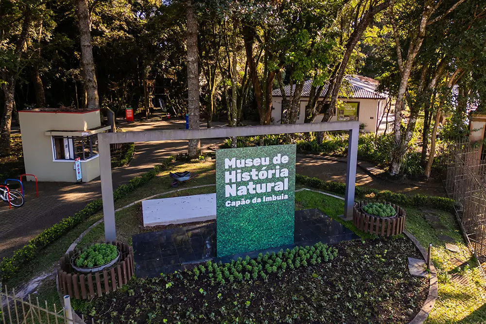 Museu de História Natural Capão da Imbuia completa 62 anos e mantém vivo o maior acervo da fauna paranaense 5 museu historia natural