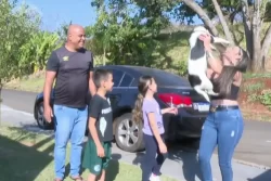 Encontre Seu Pet