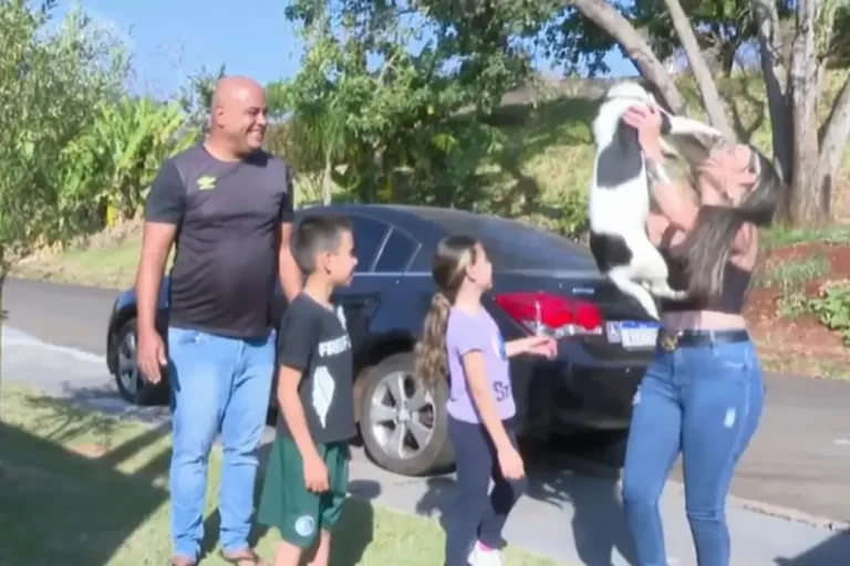Encontre Seu Pet