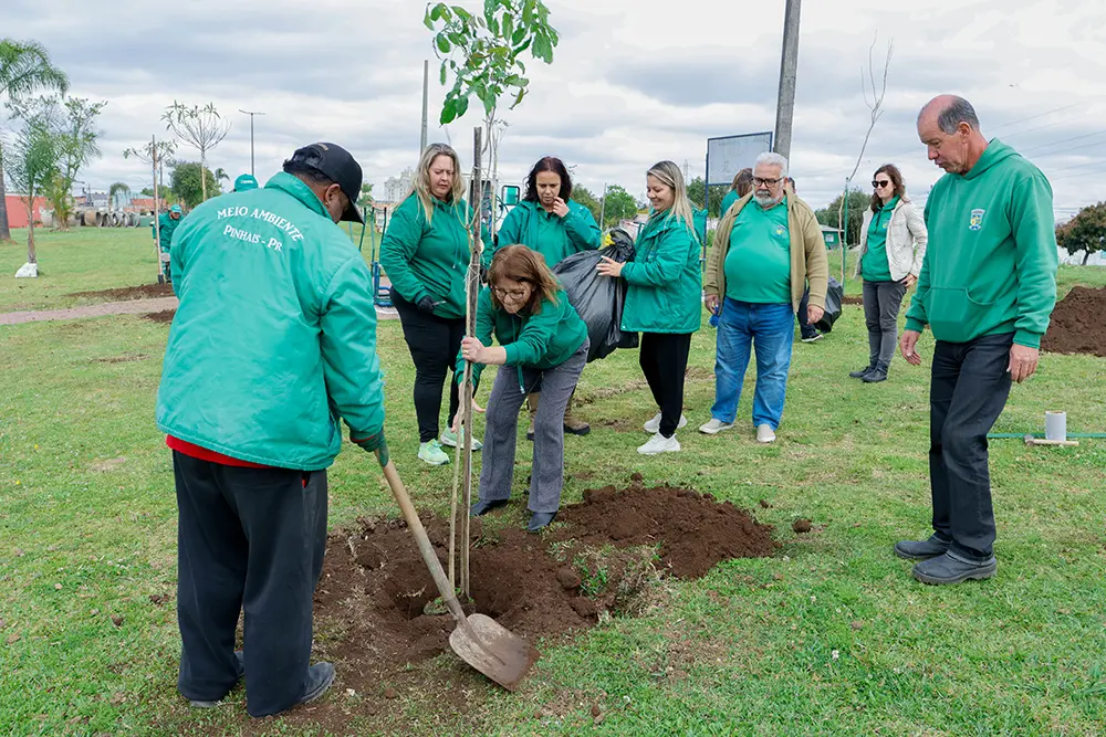 Pinhais recebe certificado de Cidade Amiga das Árvores da FAO/ONU pelo 2º ano consecutivo 1 cidade amiga das árvores