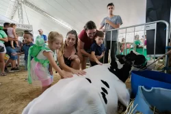expofazenda 2025