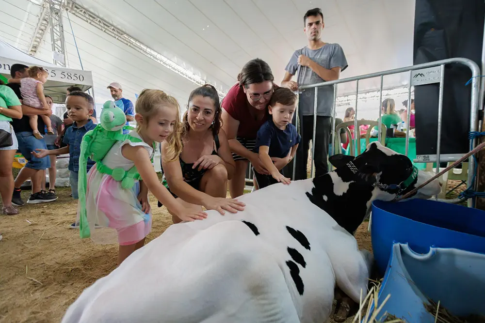 ExpoFazenda 2025 anuncia programação completa com shows nacionais, rodeio e inovação em Fazenda Rio Grande 4 expofazenda 2025