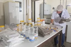 Alimentação escolar