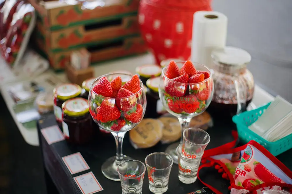 Rota Morangos do Paraná: 5 empreendimentos de São José dos Pinhais impulsionam o Turismo Rural 3 Rota Morangos do Paraná