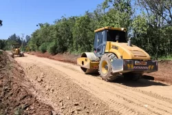 balsa nova e lapa