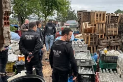 operação contra bebidas irregulares