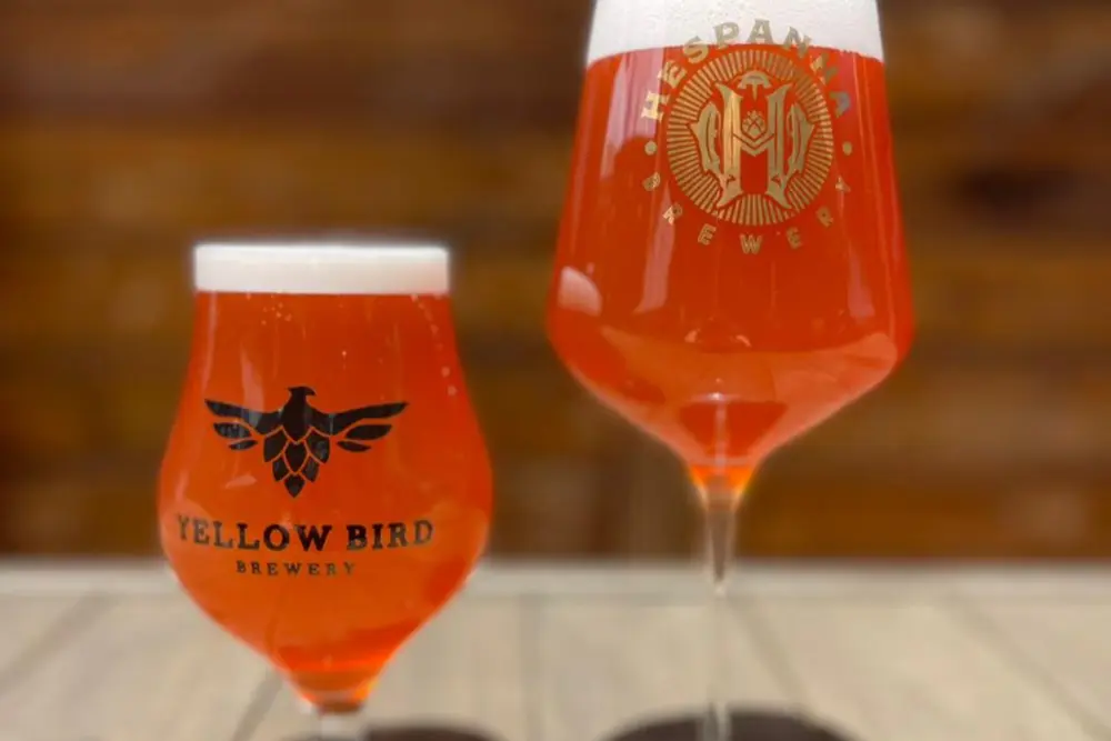 Cerveja Frutopia, de Pinhais, é eleita a melhor do Brasil na Copa Cerveja 2025 e conquista medalha de ouro 3 yellow bird