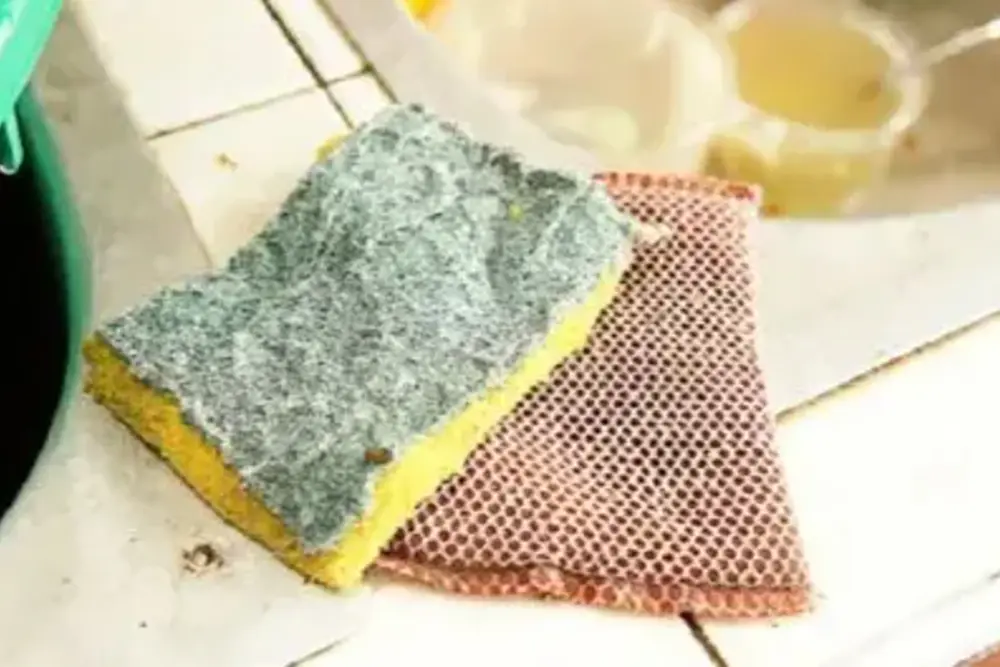 5 ninhos de bactérias na cozinha: como proteger sua saúde já 3 ninhos para bacterias