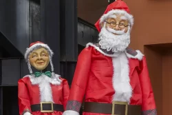 papai e mamae noel