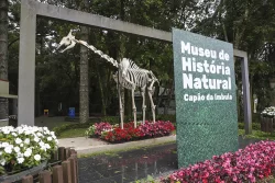museu de historia natural