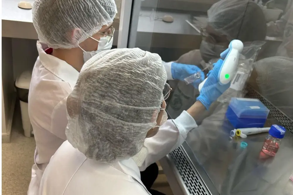 Tecnologia da UFPR pode salvar jumentos da extinção no país 3 Jumentos