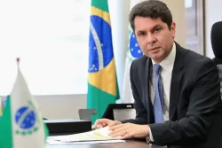alexandre curi
