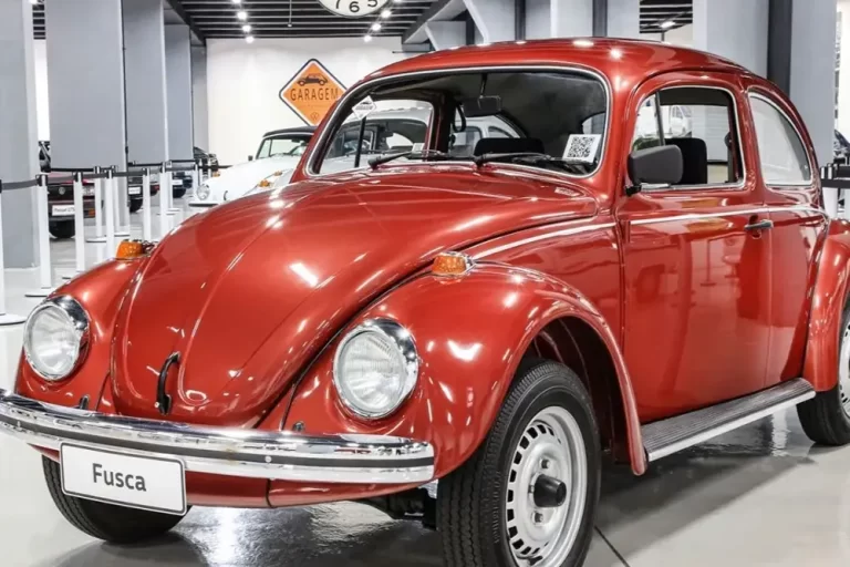 Dia do Fusca