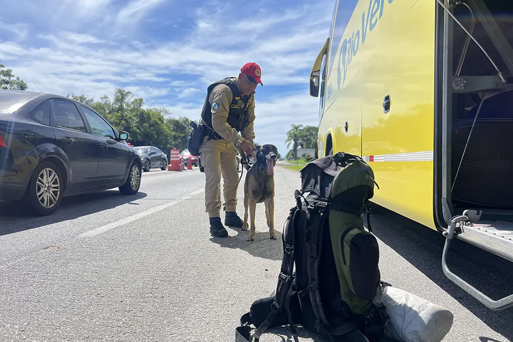 PMPR registra 9,6 mil infrações nas rodovias no Ano Novo 4 infrações de trânsito