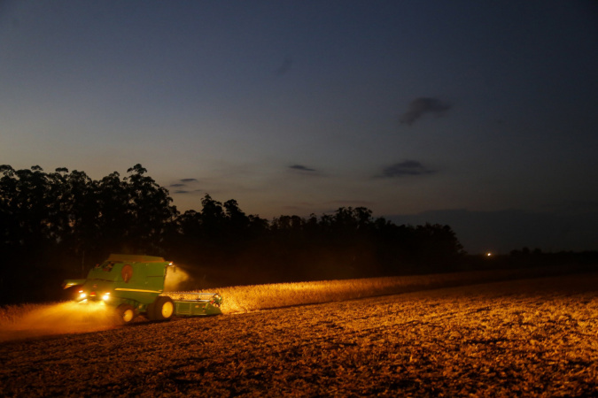 Plantio de soja no Paraná: período estendido para sementes 3 whatsapp image 2026 01 13 at 15.08.02 Plantio de soja no Paraná: período estendido para sementes