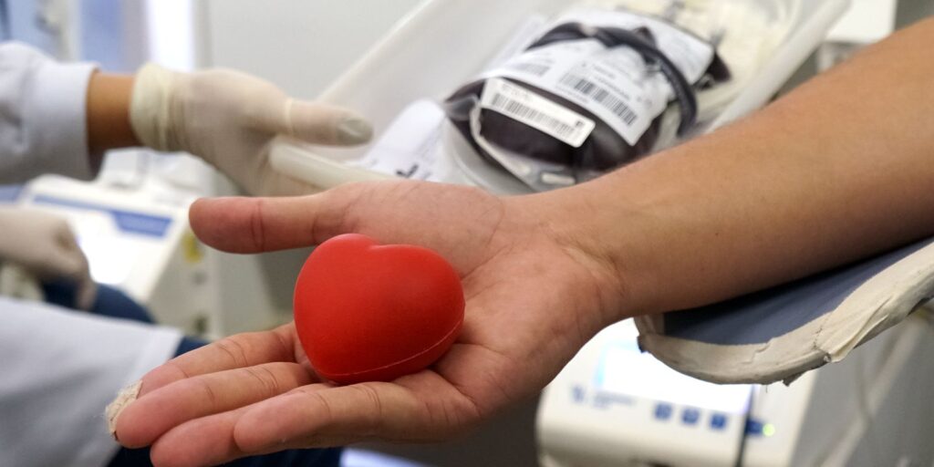 Doação de sangue no Carnaval: por que salvar vidas é urgente 2 51129040925 9e5571b5a5 o Doação de sangue no Carnaval: por que salvar vidas é urgente