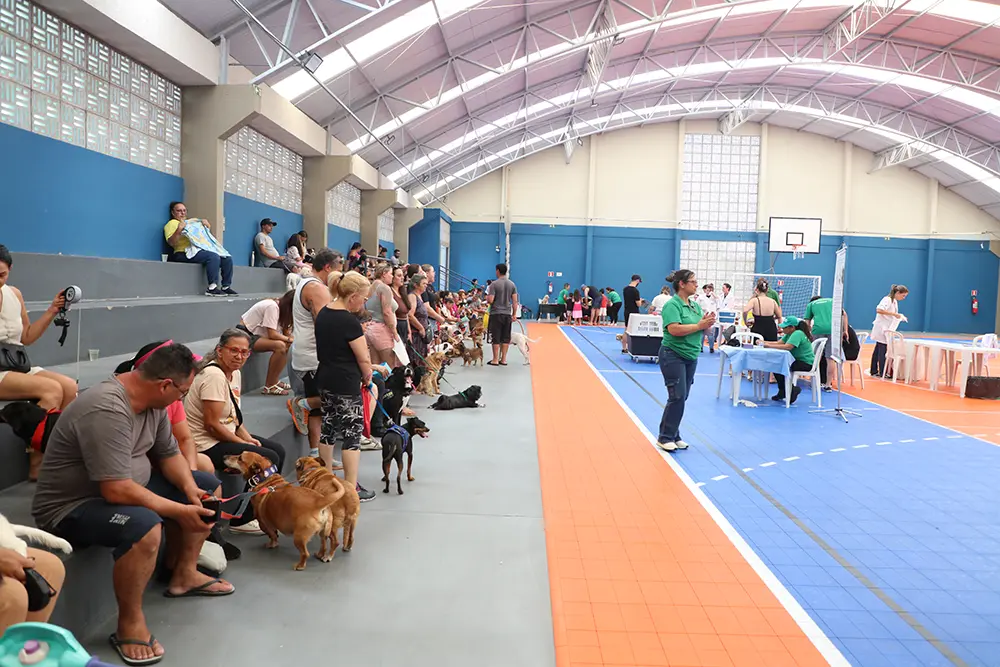 Comunidade Pet em Pinhais realiza 862 atendimentos no bairro Alto Tarumã 3 Comunicade Pet
