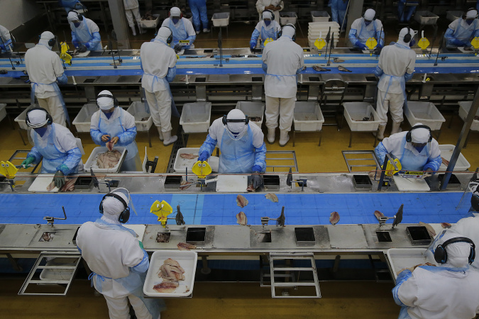 Paraná: destaque nacional na geração de empregos 5 copacol tilapia 14 Paraná: destaque nacional na geração de empregos