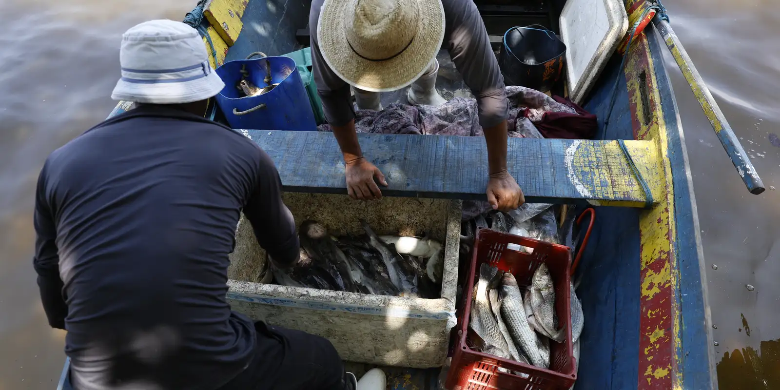 Seguro-Defeso: pagamento do 6º lote e novas regras 7 d6a1606 0 Seguro-Defeso: pagamento do 6º lote e novas regras
