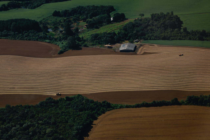 Colheita de soja no Paraná: 82% concluída 3 whatsapp image 2026 03 25 at 16.44.26 2 Colheita de soja no Paraná: 82% concluída