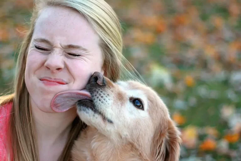 A boca do cão é porta de entrada para vírus, bactérias, fungos e protozoários