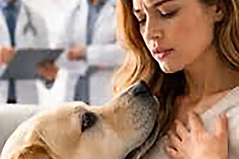 Cães são capazes de detectar câncer, Alzheimer e Parkinson apenas pelo cheiro do corpo humano