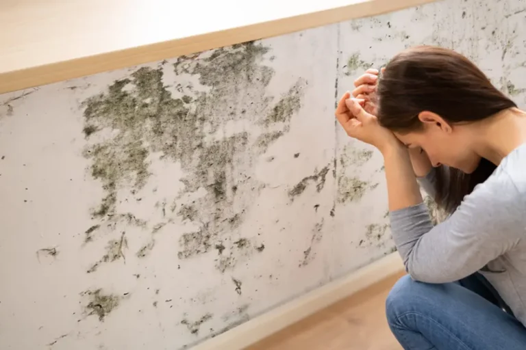 Como prevenir problemas comuns no outono dentro de casa