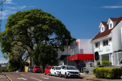 Reconhecimento do Polo Teffé visa atrair novos investimentos e integrar a cadeia produtiva de vestuário no Bom Retiro