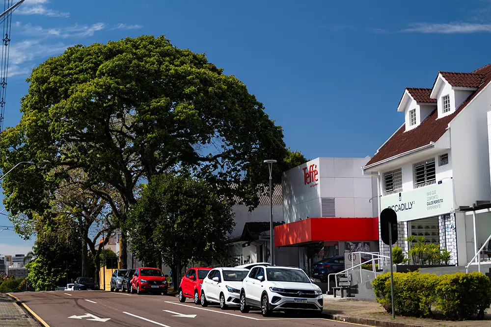 Lei que cria o Polo Teffé de Calçados e Vestuários entra em vigor 3 Reconhecimento do Polo Teffé visa atrair novos investimentos e integrar a cadeia produtiva de vestuário no Bom Retiro
