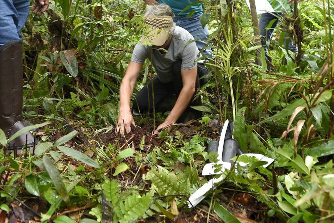 Semana do Meio Ambiente: Plantio de mudas e ações sustentáveis 6 voluntarios 008 Semana do Meio Ambiente: Plantio de mudas e ações sustentáveis