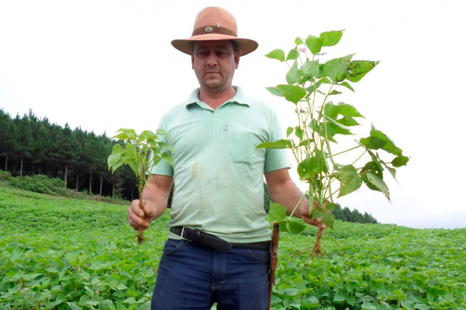 Sanepar: biossólido para agricultura no Paraná - novo Edital 2 uso de sanebio 4 Sanepar: biossólido para agricultura no Paraná - novo Edital