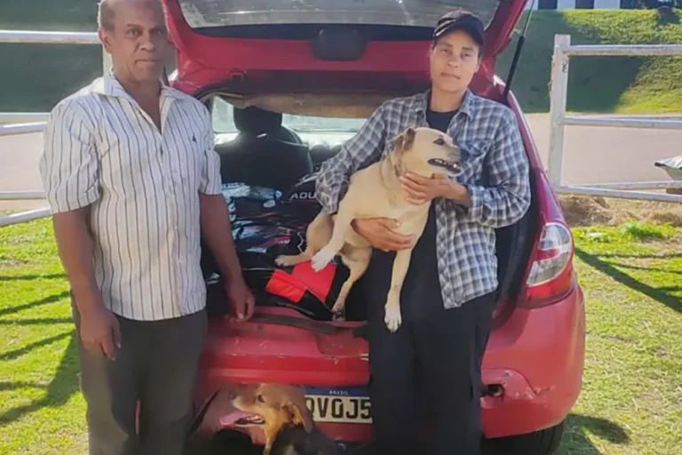 Alimentos do Banco Municipal de Ração distribuídos a protetores cadastrados no Centro de Referência de Animais em Risco