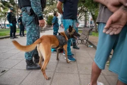 Os guardas realizaram uma vistoria acompanhados pelo cão Titan, que localizou mais de 500 pedras de crack e cerca de 40 buchas de maconha fracionadas para comercialização