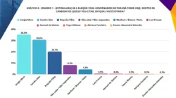 grafico governo