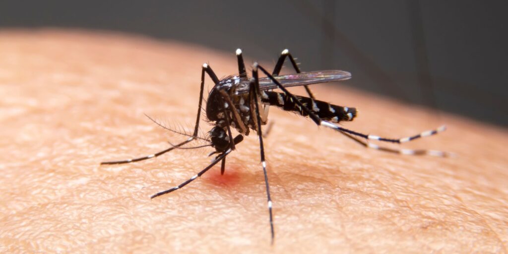 Mudanças climáticas e doenças infecciosas no Brasil 2 adobestock 306185088 Mudanças climáticas e doenças infecciosas no Brasil