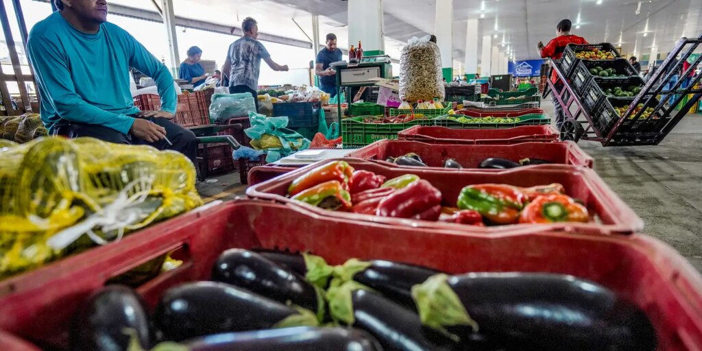 raf06918 Campanha #FazAXepa: Combatendo o desperdício de alimentos